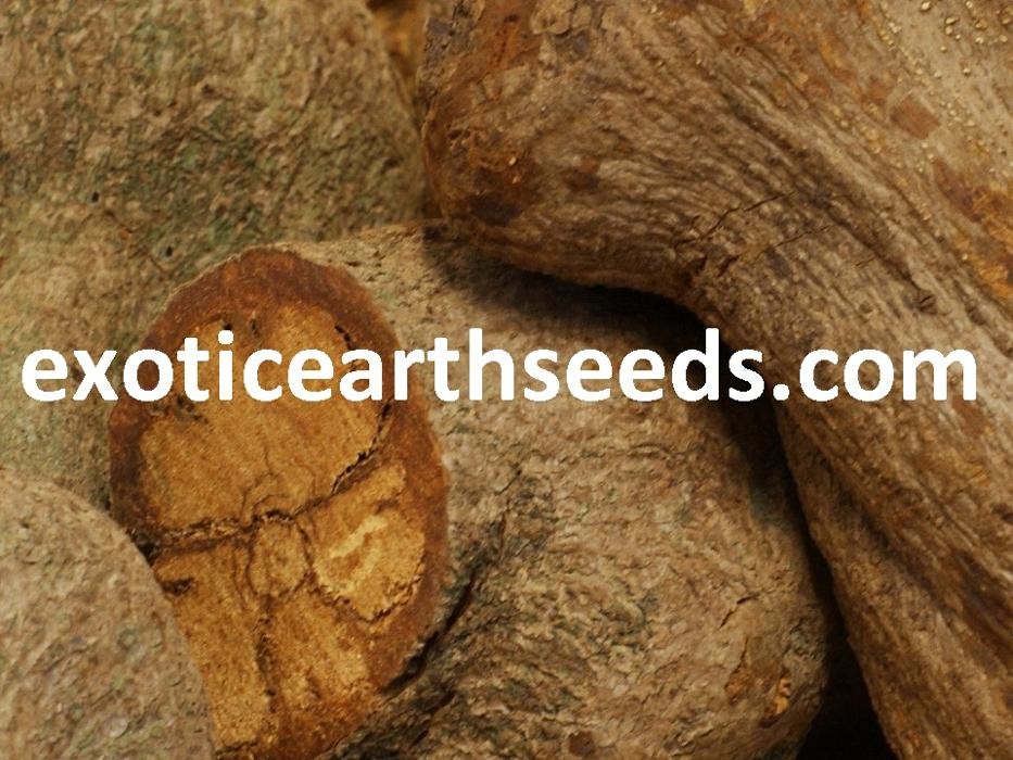 Images exotic earth seeds