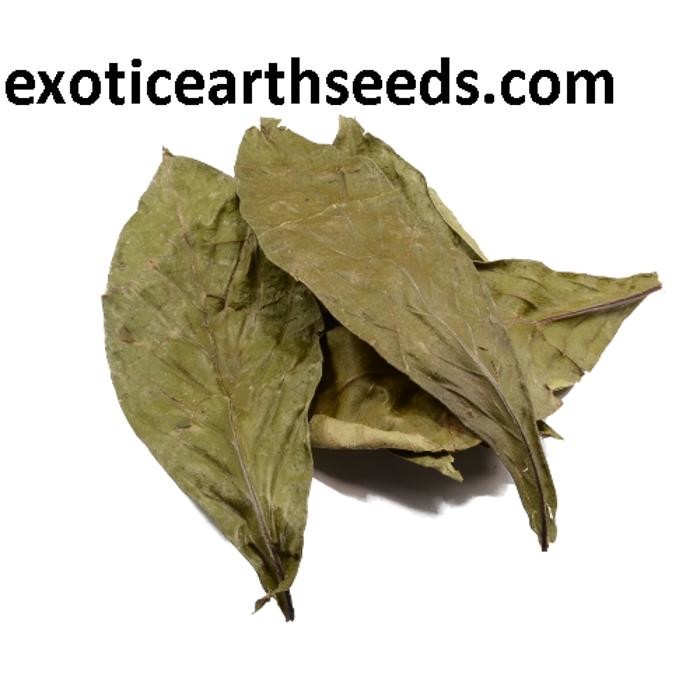 Images exotic earth seeds