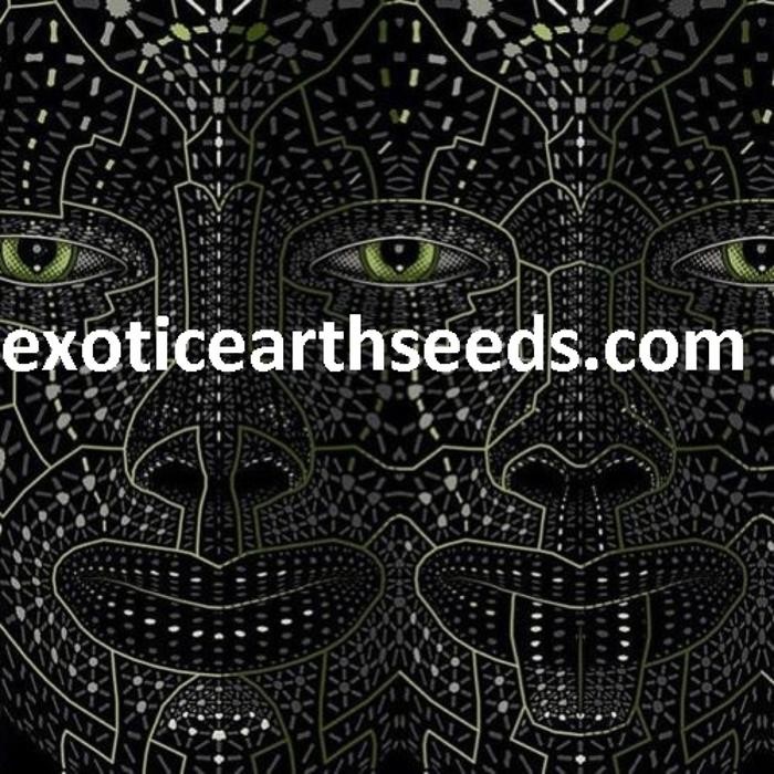 Images exotic earth seeds