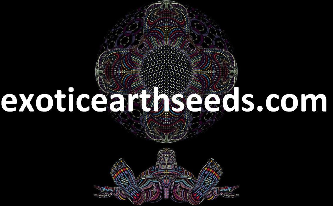 Images exotic earth seeds