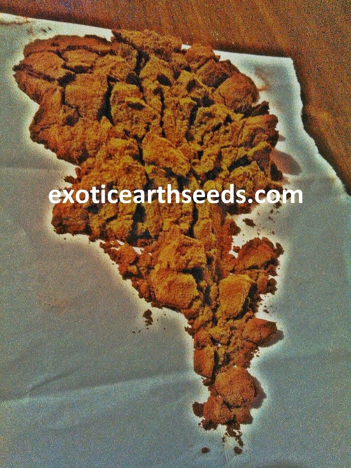 Images exotic earth seeds