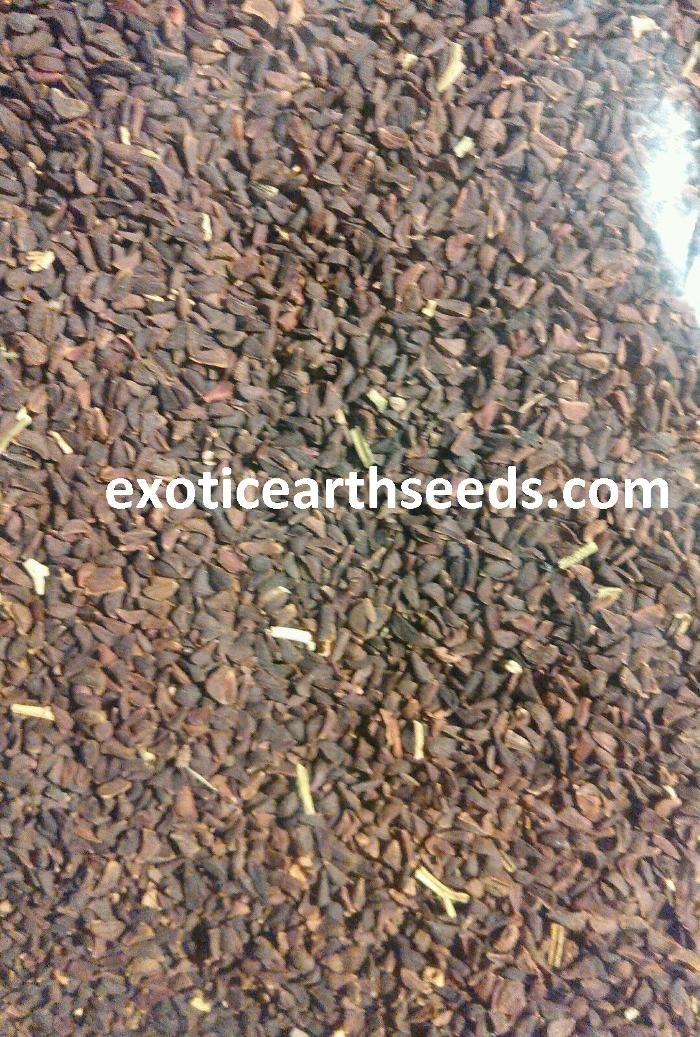 Images exotic earth seeds