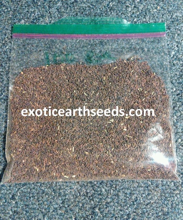 Images exotic earth seeds