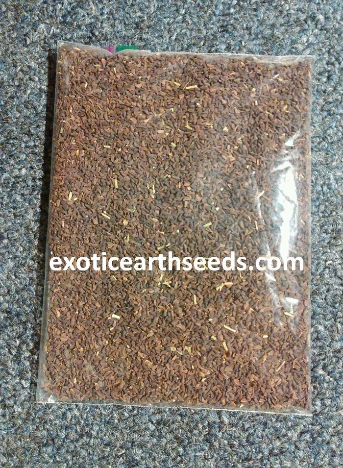 Images exotic earth seeds