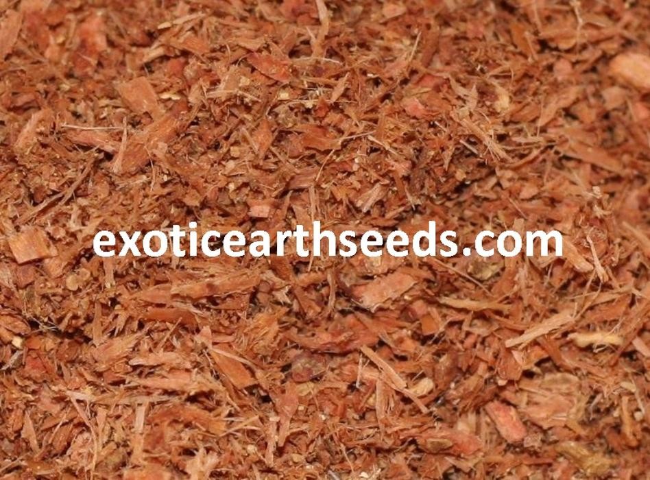 Images exotic earth seeds