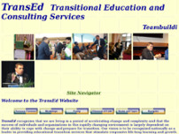 Transitional Education and Consulting Services website screenshot