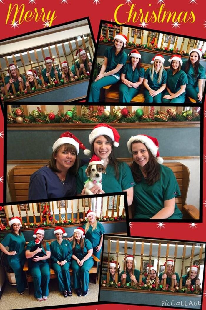 Images West Park Veterinary Services