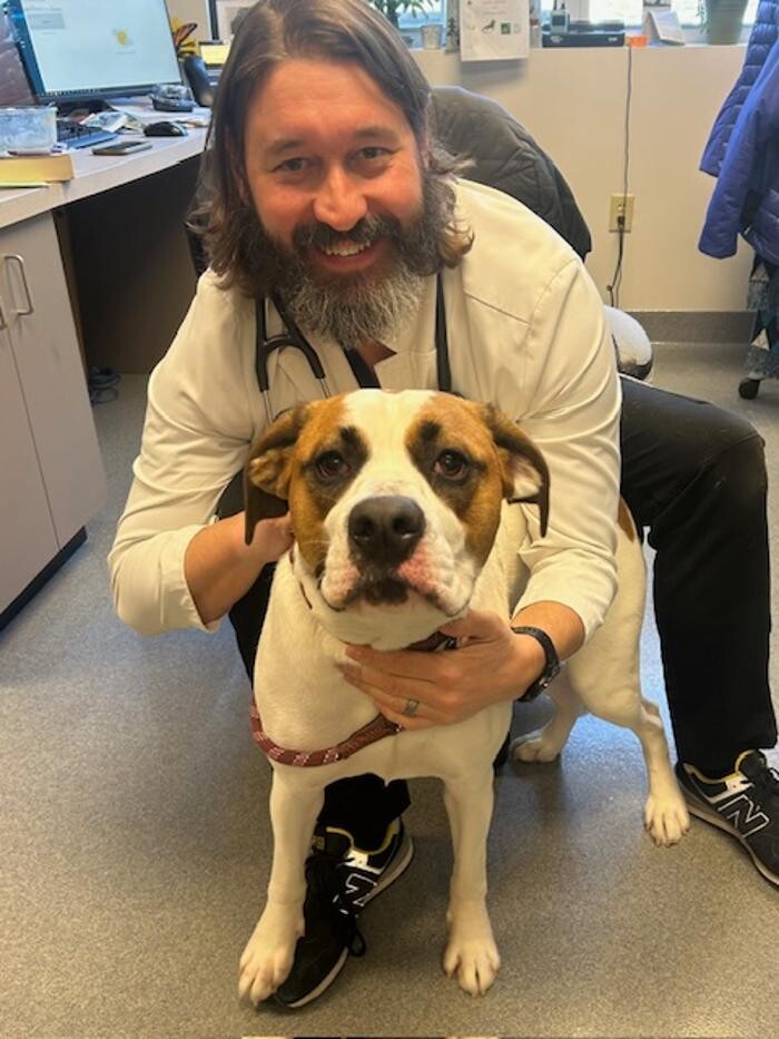 Images Patton Veterinary Hospital