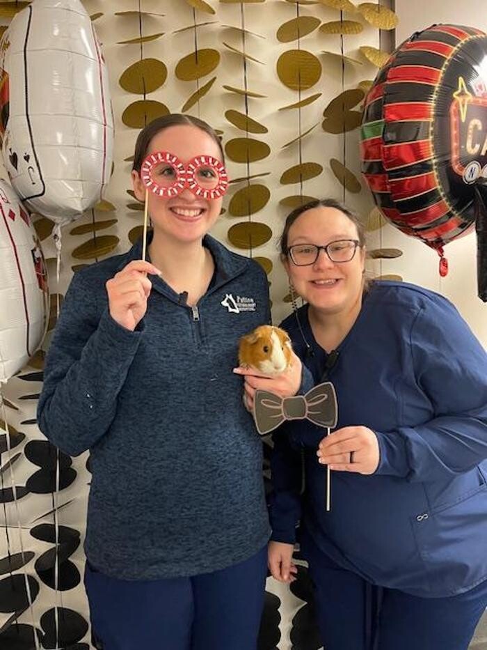 Images Patton Veterinary Hospital