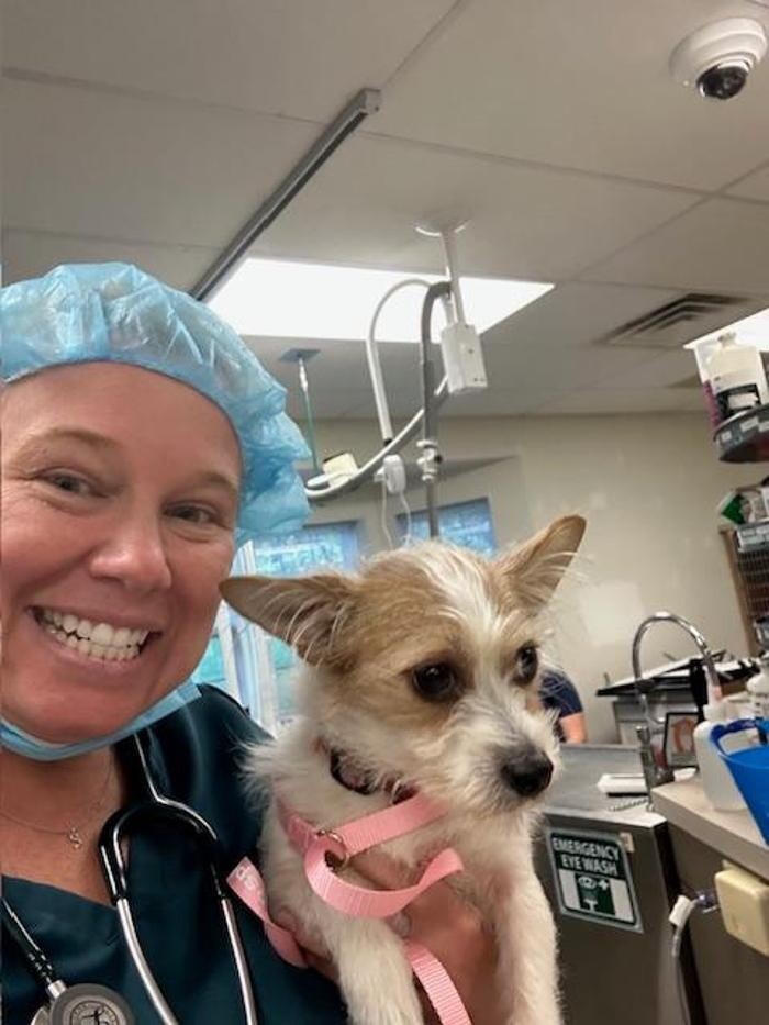 Images Patton Veterinary Hospital