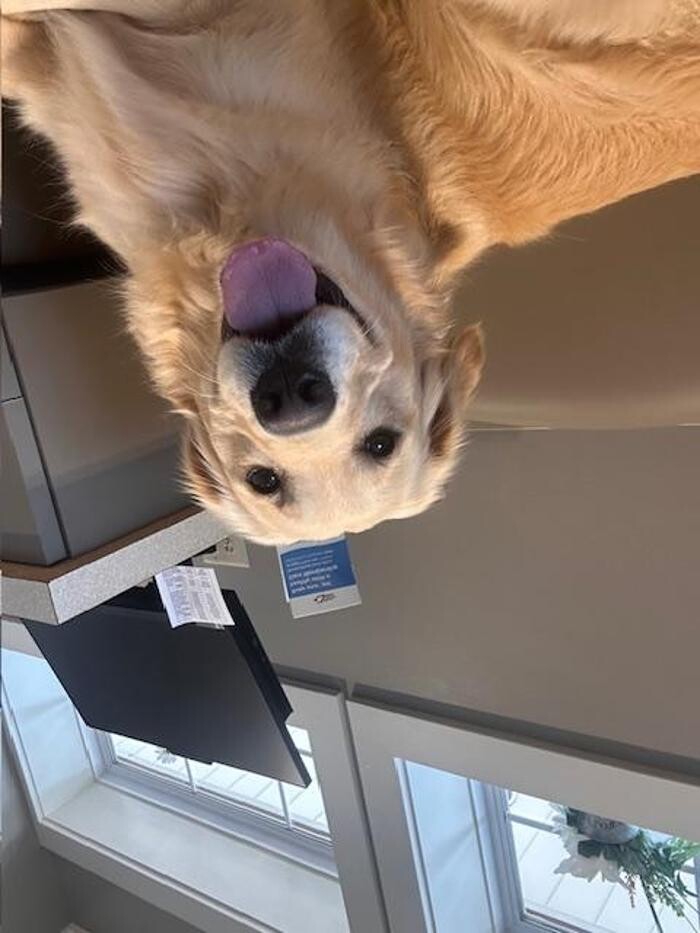 Images Patton Veterinary Hospital