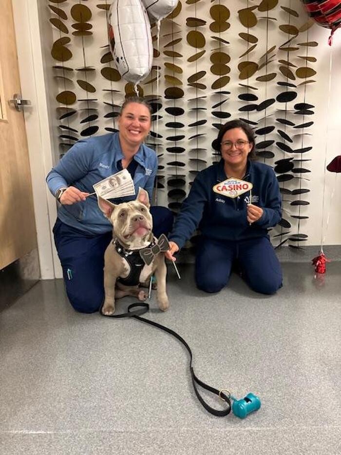 Images Patton Veterinary Hospital