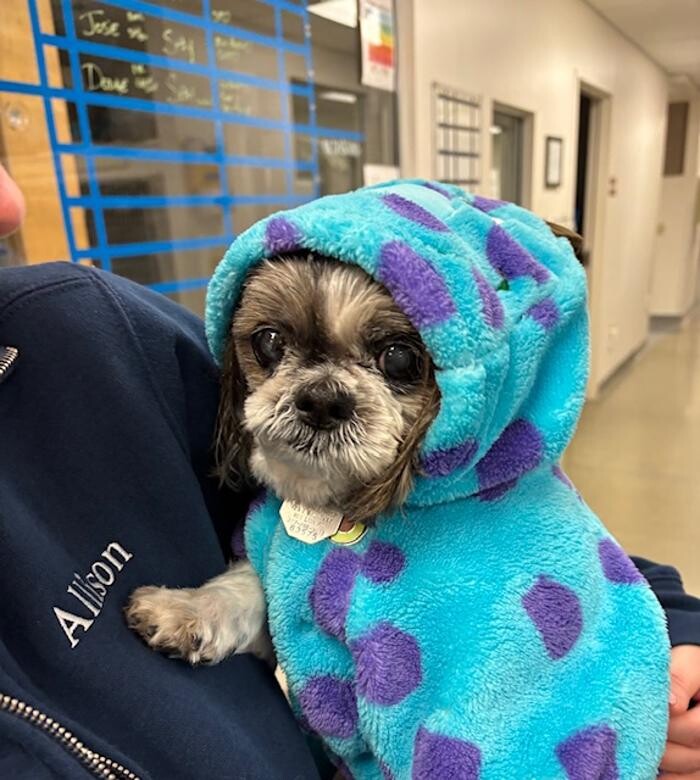 Images Patton Veterinary Hospital