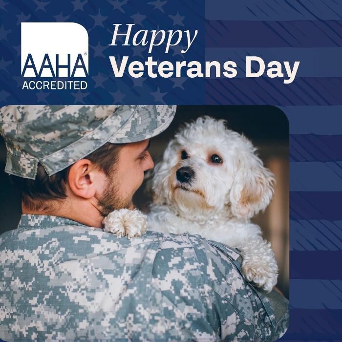 Images Patton Veterinary Hospital