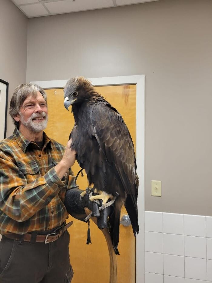 Images Patton Veterinary Hospital