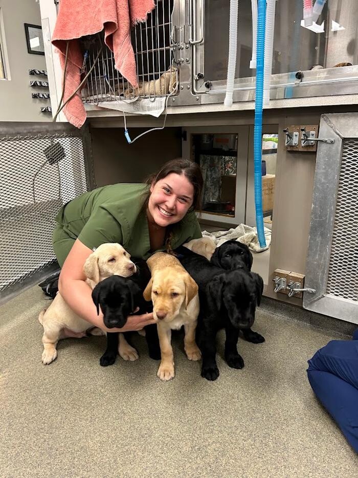 Images Patton Veterinary Hospital