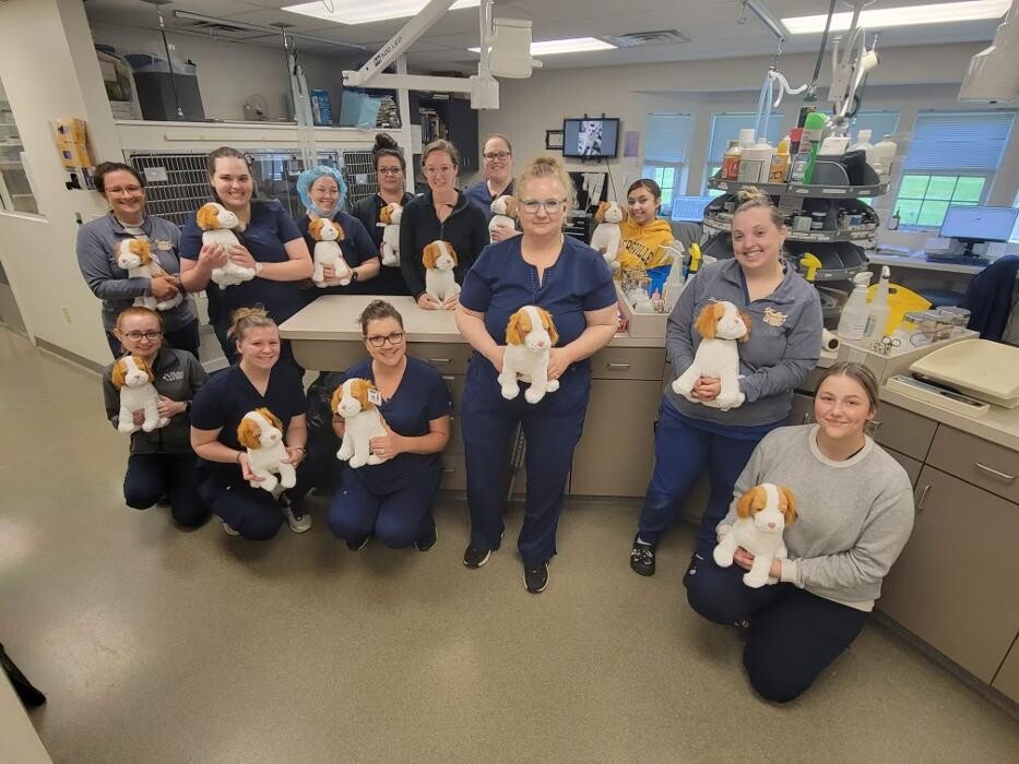 Images Patton Veterinary Hospital