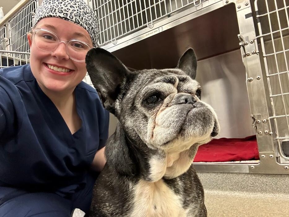 Images Patton Veterinary Hospital