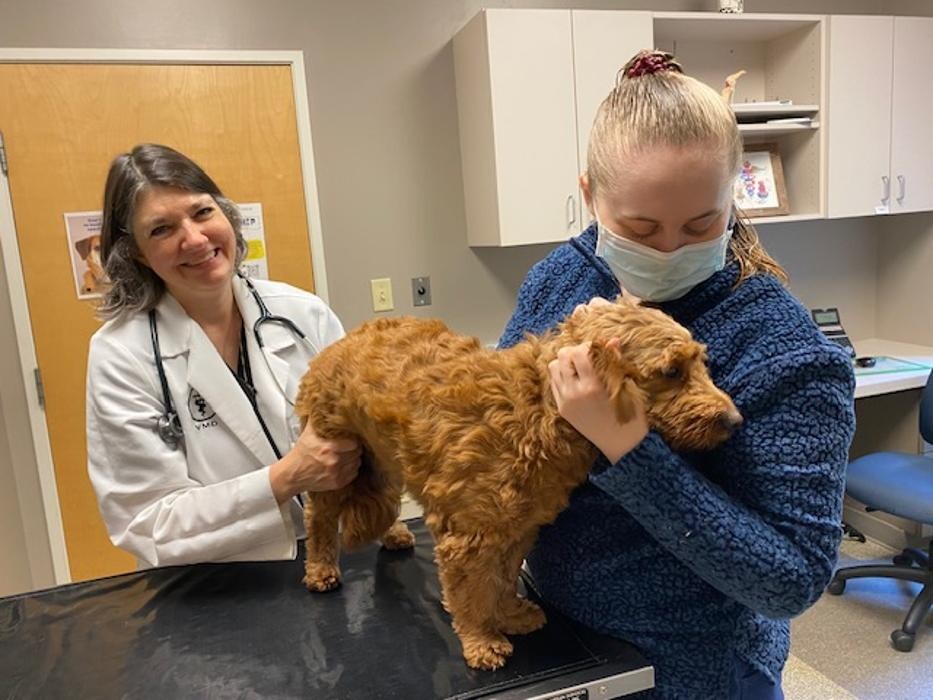 Images Patton Veterinary Hospital