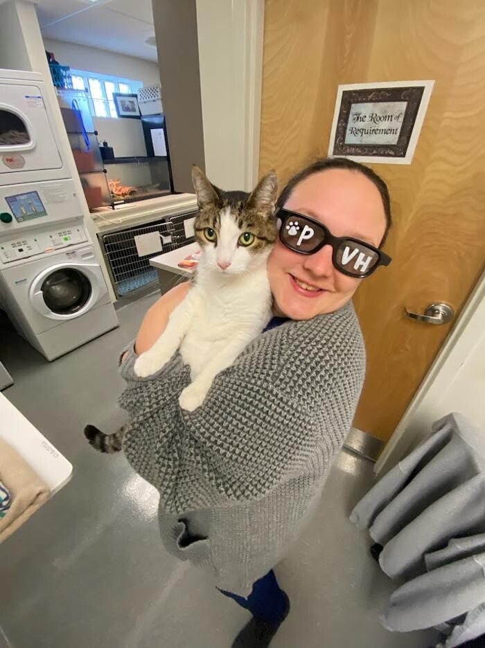 Images Patton Veterinary Hospital
