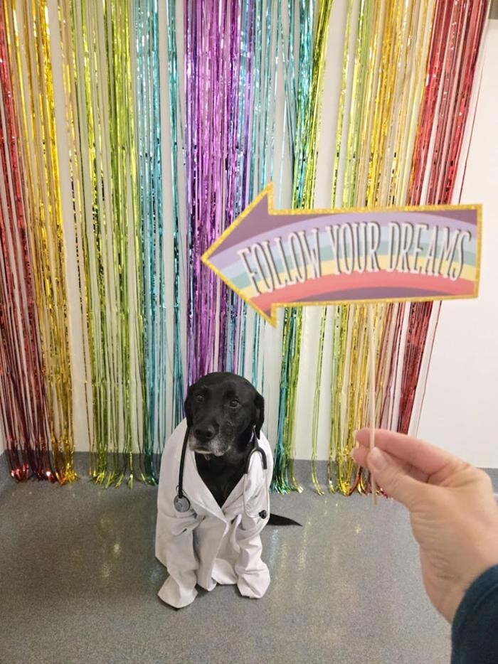 Images Patton Veterinary Hospital