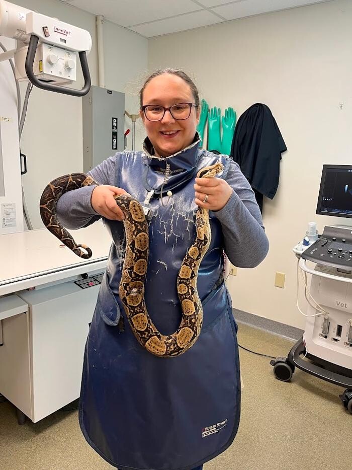 Images Patton Veterinary Hospital