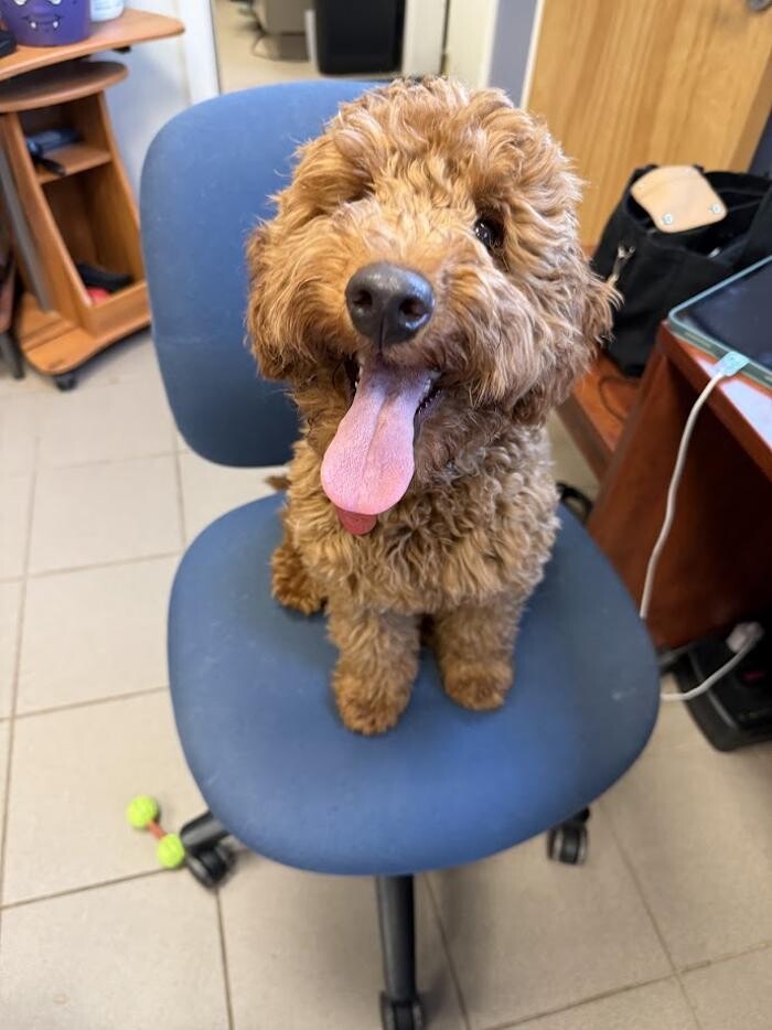 Images Patton Veterinary Hospital