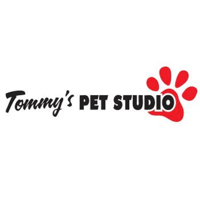Images Tommy's Pet Studio