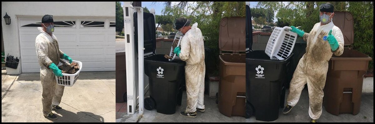 Images Old Towne Termite and Pest Control