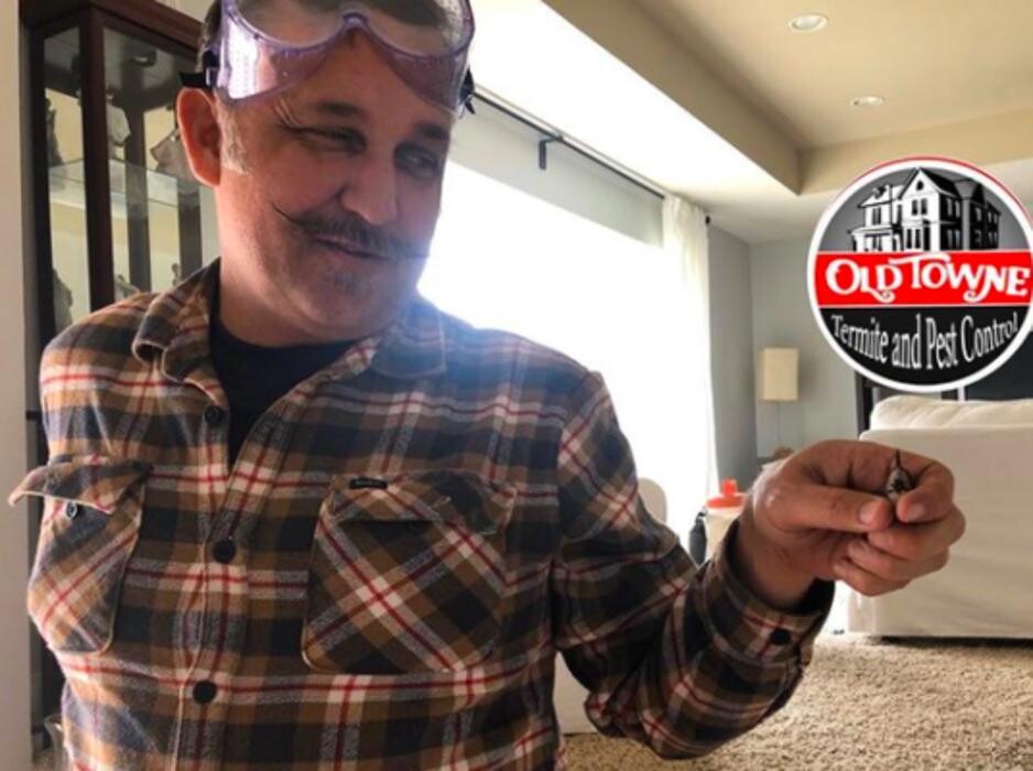 Images Old Towne Termite and Pest Control