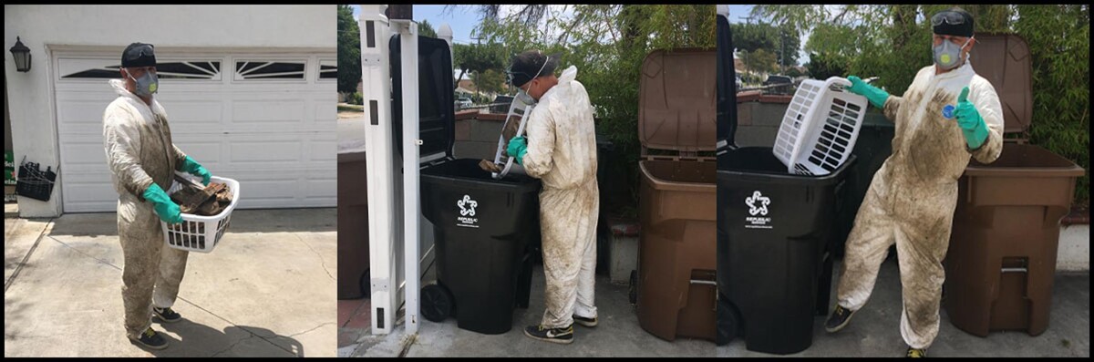 Images Old Towne Termite and Pest Control