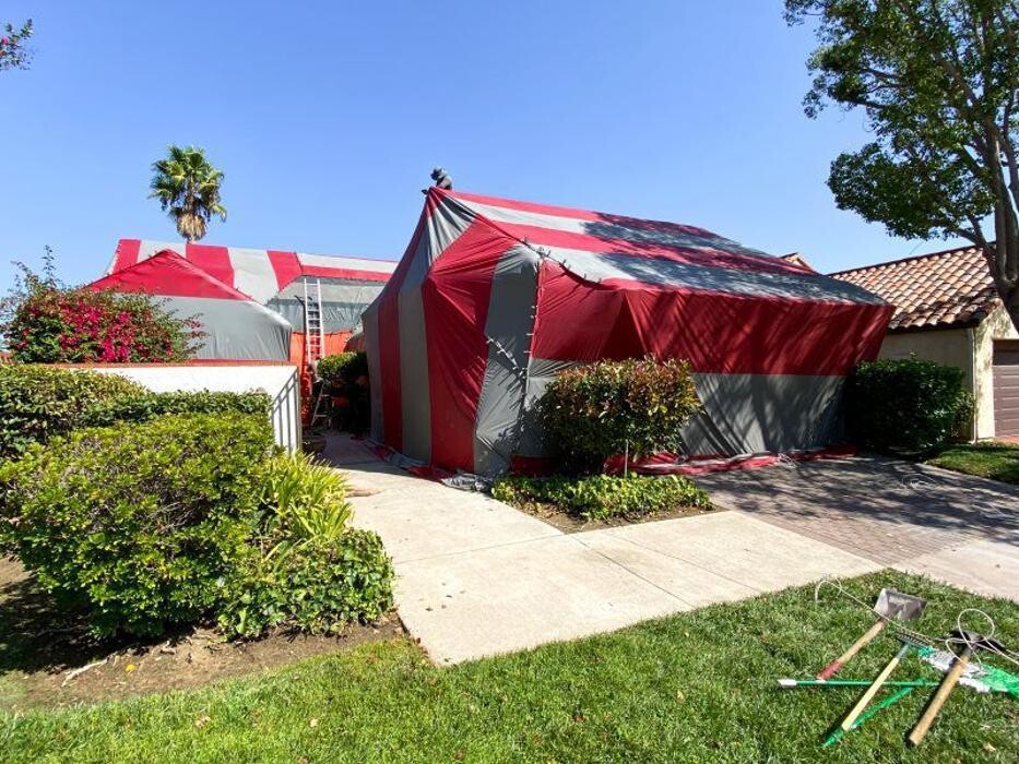 Images Old Towne Termite and Pest Control