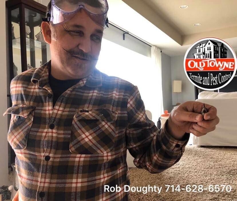 Images Old Towne Termite and Pest Control