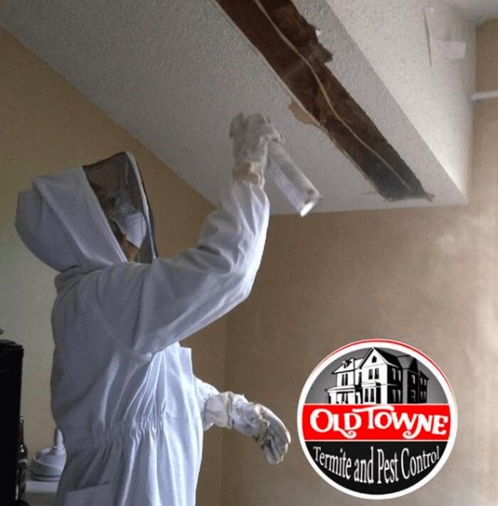 Images Old Towne Termite and Pest Control