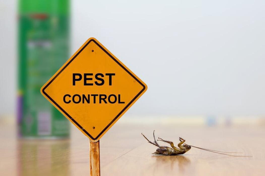 Images Old Towne Termite and Pest Control