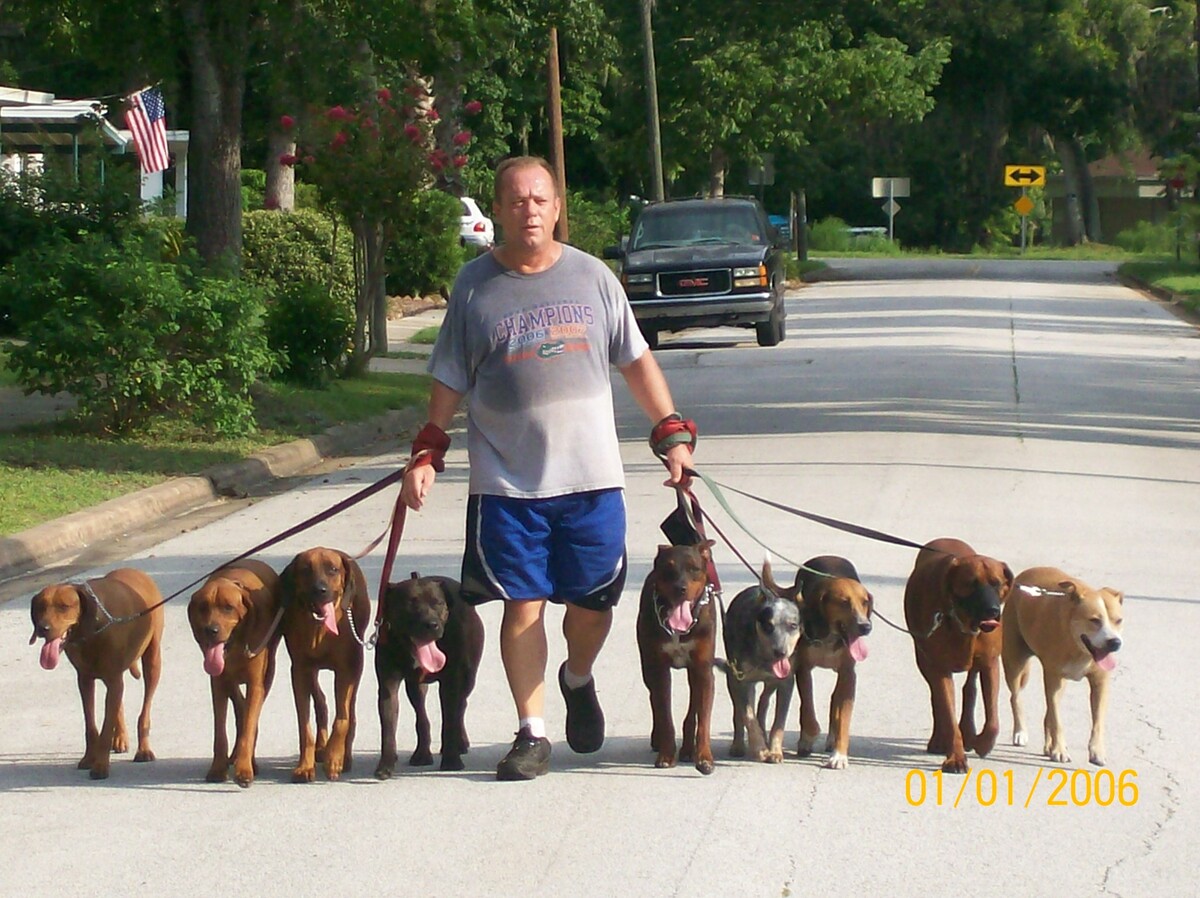 Images Russell's K9 Academy