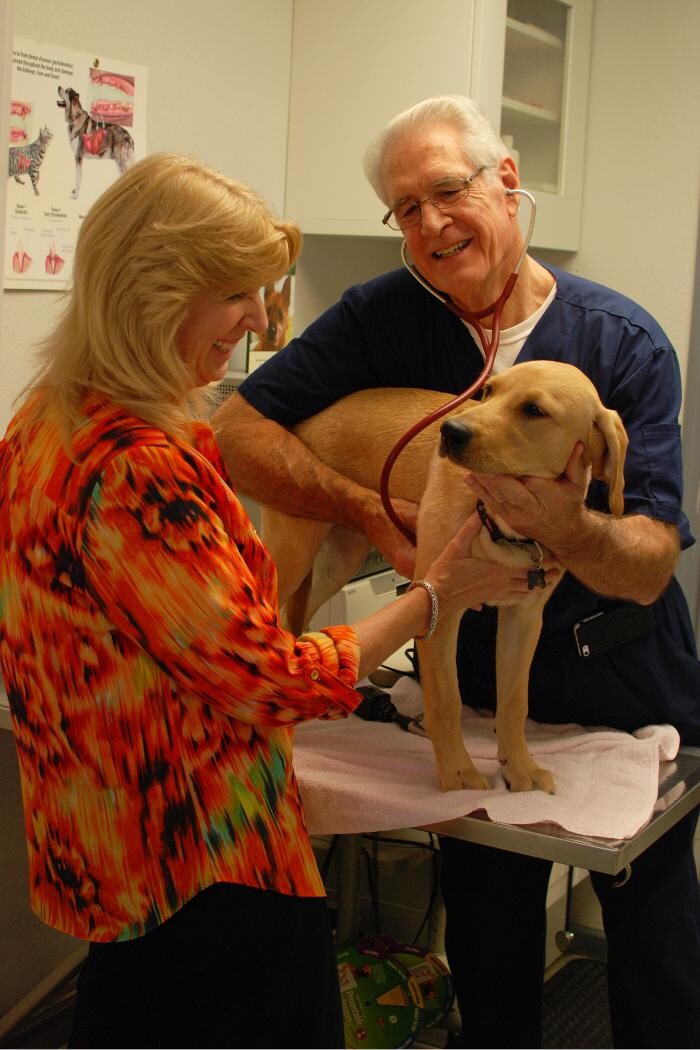 Images Harrisburg Animal Hospital