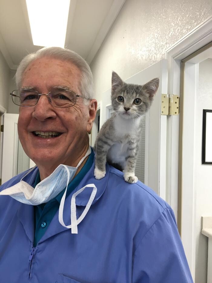 Images Harrisburg Animal Hospital