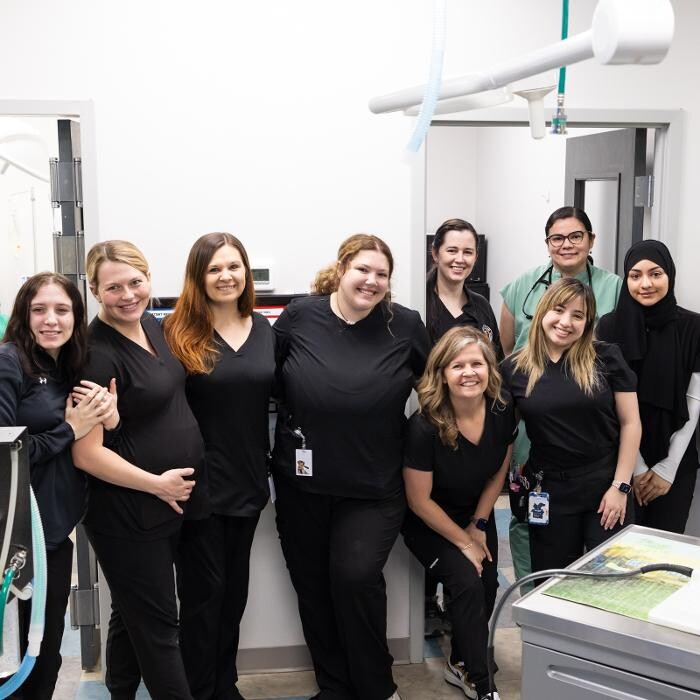 Images Harrisburg Animal Hospital