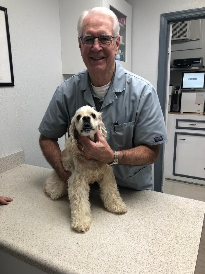 Images Harrisburg Animal Hospital