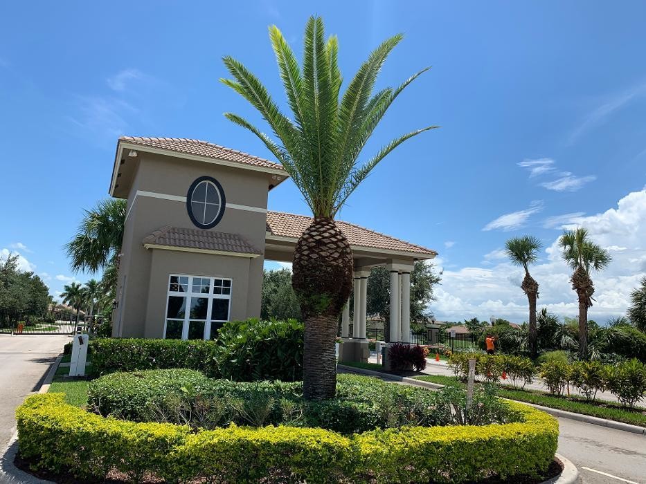 Images Greengold Tree Service