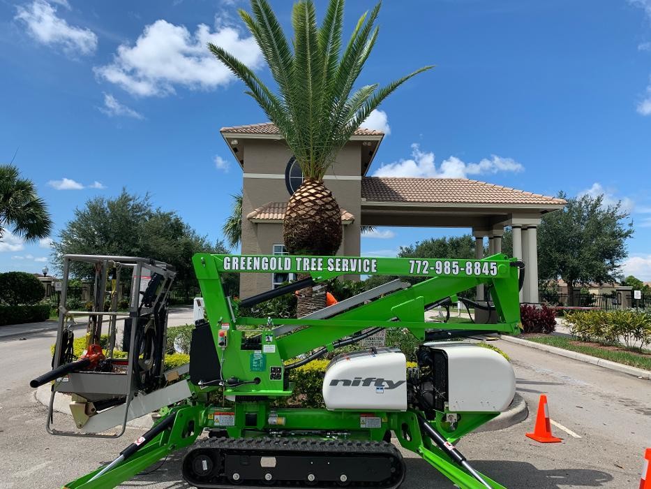 Images Greengold Tree Service
