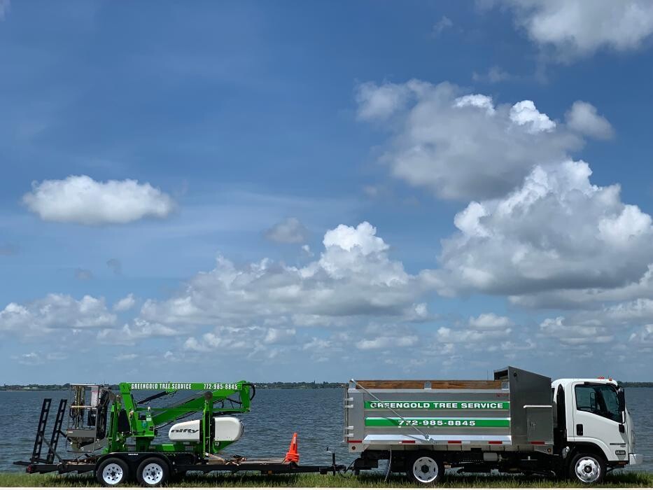 Images Greengold Tree Service
