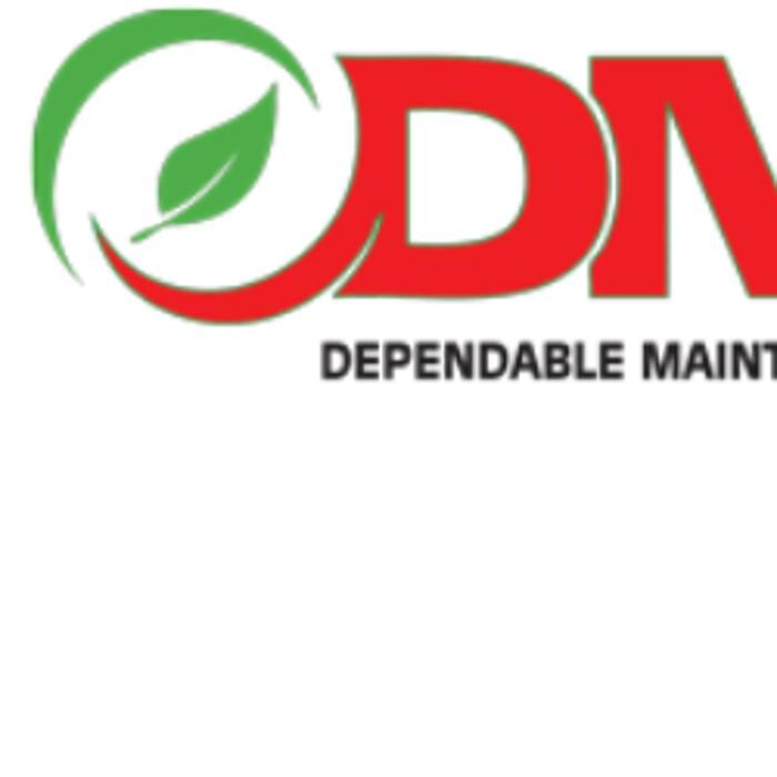 DMS Janitorial Logo