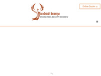 Firebird Bronze website screenshot