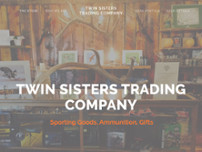 Screenshot for https://www.twinsisterstrading.com/