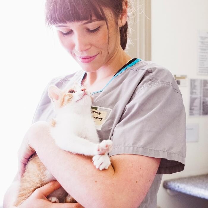 Images Westwood Regional Veterinary Hospital