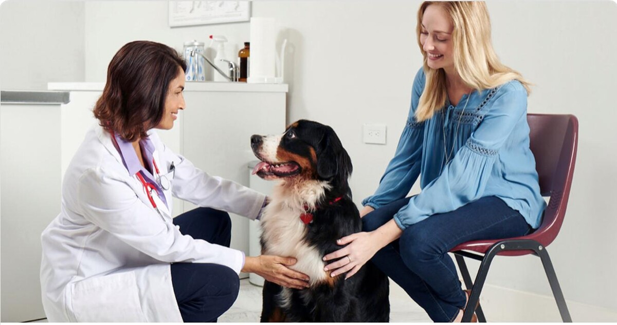 Images Westwood Regional Veterinary Hospital