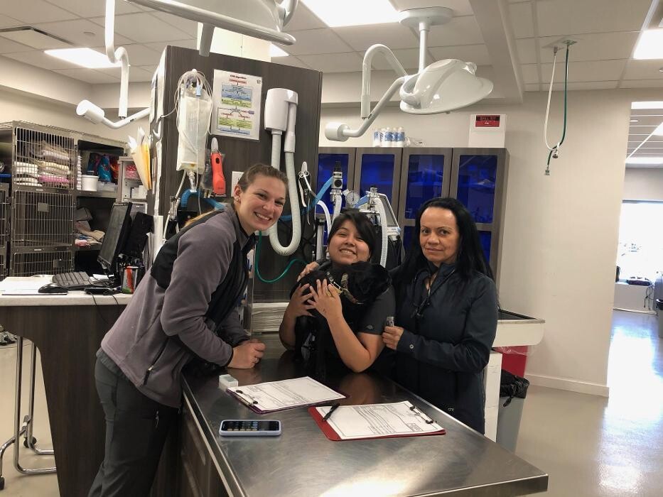 Images Westwood Regional Veterinary Hospital