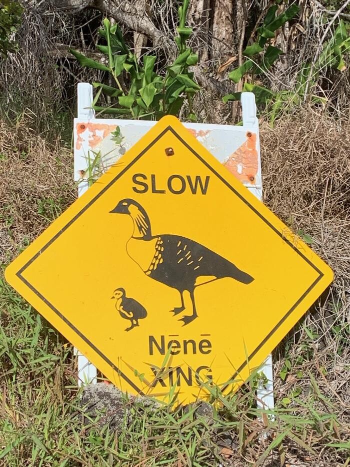 Images Real Estate Kailua Kona